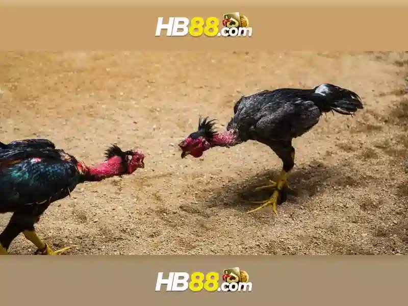 Đặc điểm nổi bật của HB88