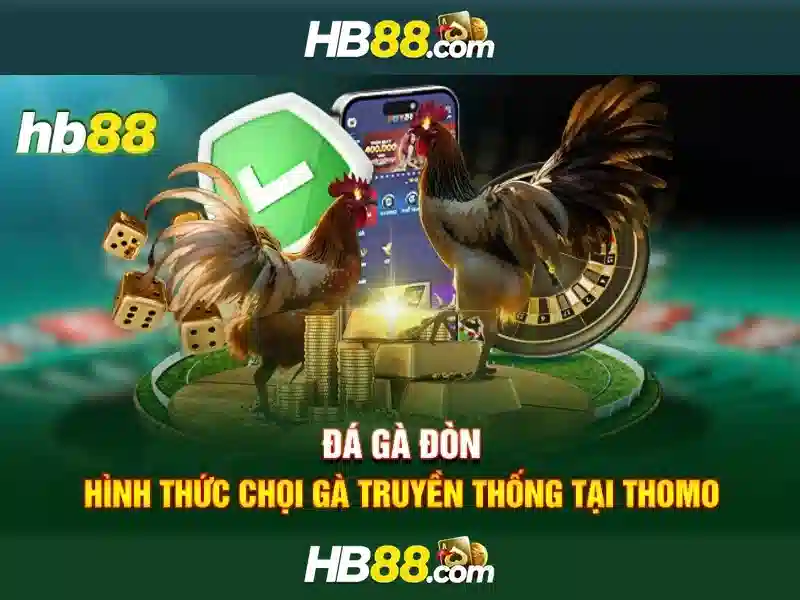 An toàn và cấp phép