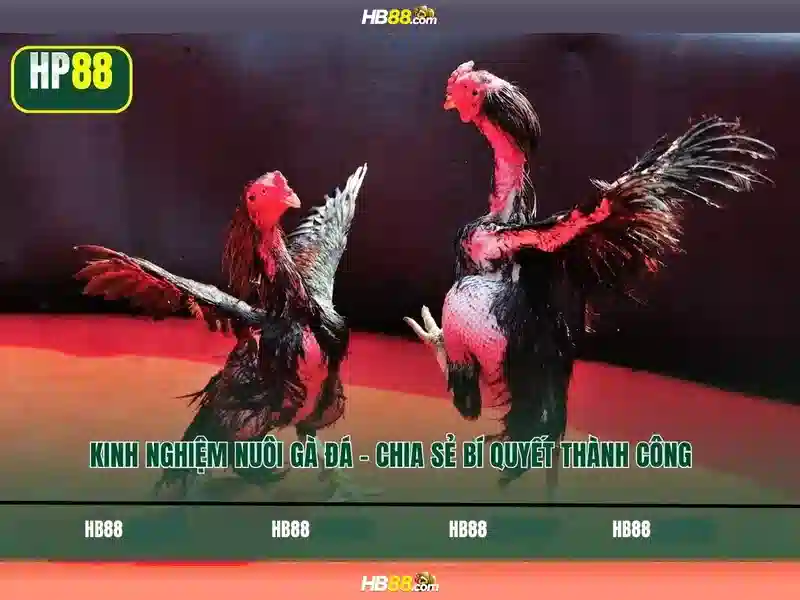 Sản phẩm và dịch vụ hb88: cốt lõi