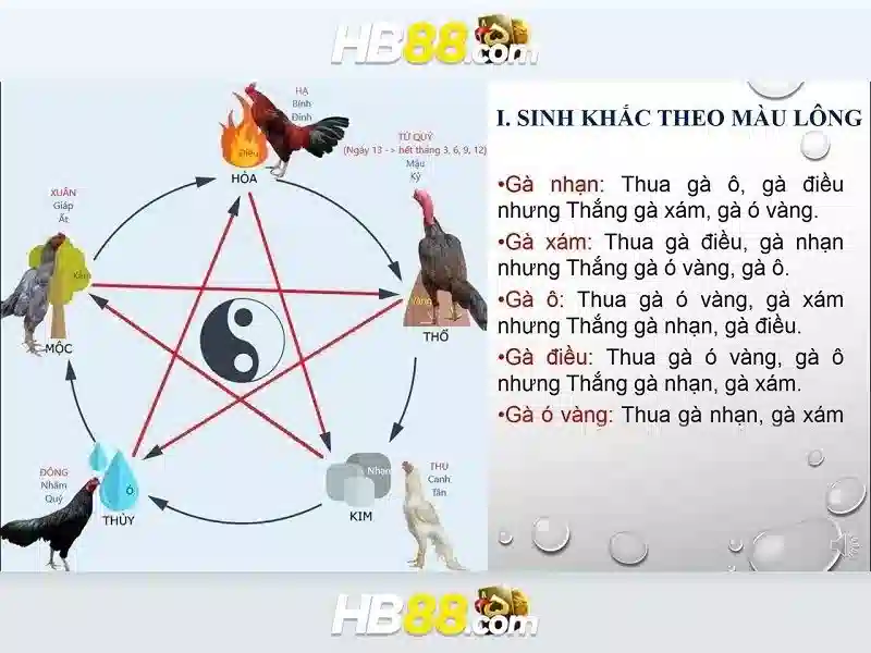 Các tính năng nổi bật của hb88