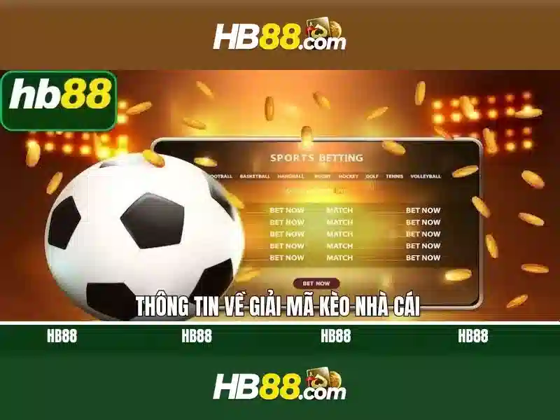 HB88 là gì? - Tổng quan về HB88