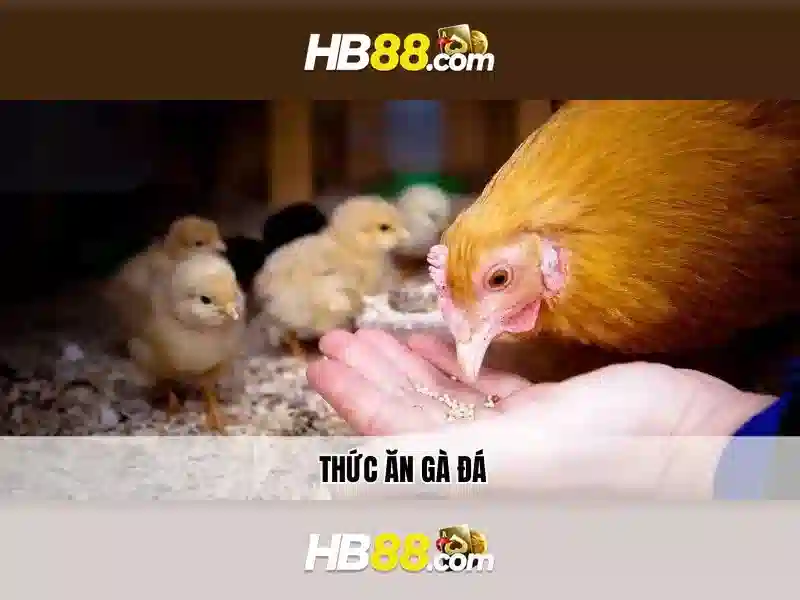 HB88: Tổng quan và những điều hữu ích