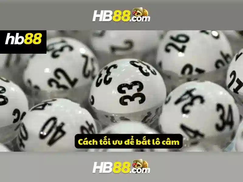 Logo hb88 – Nhận diện thương hiệu và trải nghiệm người dùng