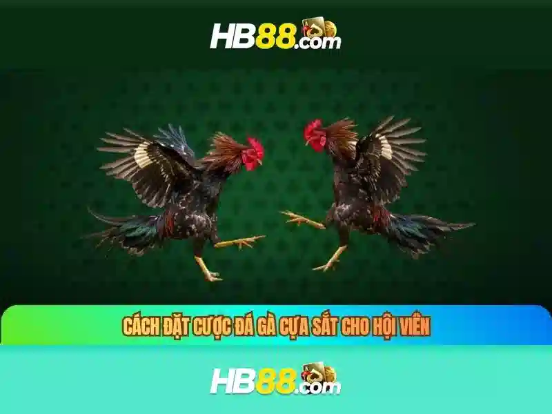 Các sản phẩm và trò chơi hỗ trợ