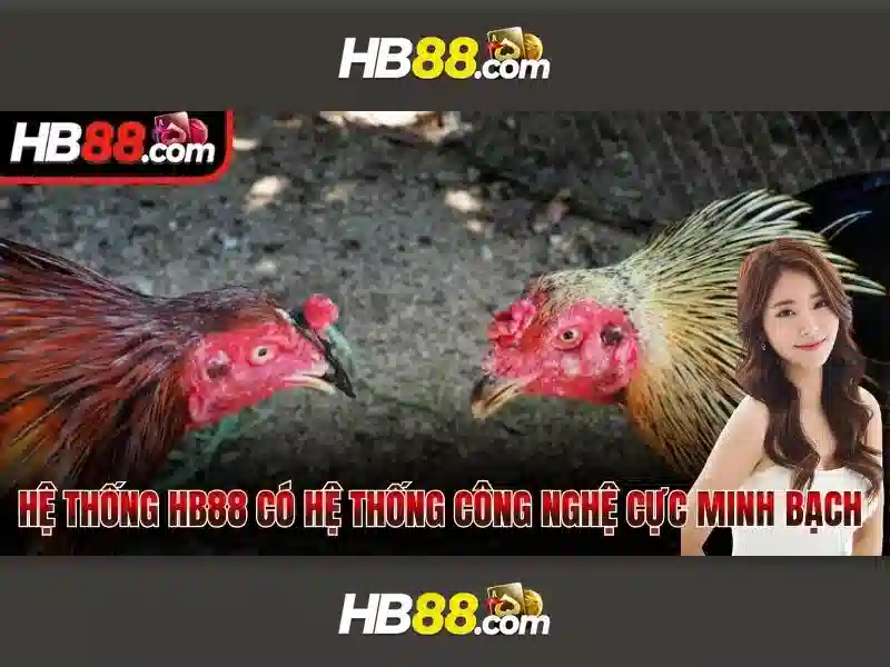 Nguồn gốc từ ngữ và sứ mệnh của hb88 sân chơi trực tuyến