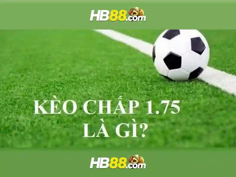 HB88 - Tổng quan về nền tảng cá cược trực tuyến