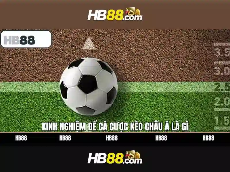 Quyền Và Nghĩa Vụ Của Người Chơi: Điều Khoản ... - Mi88