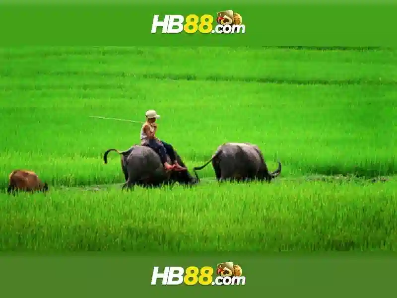 Tính năng và trải nghiệm người dùng