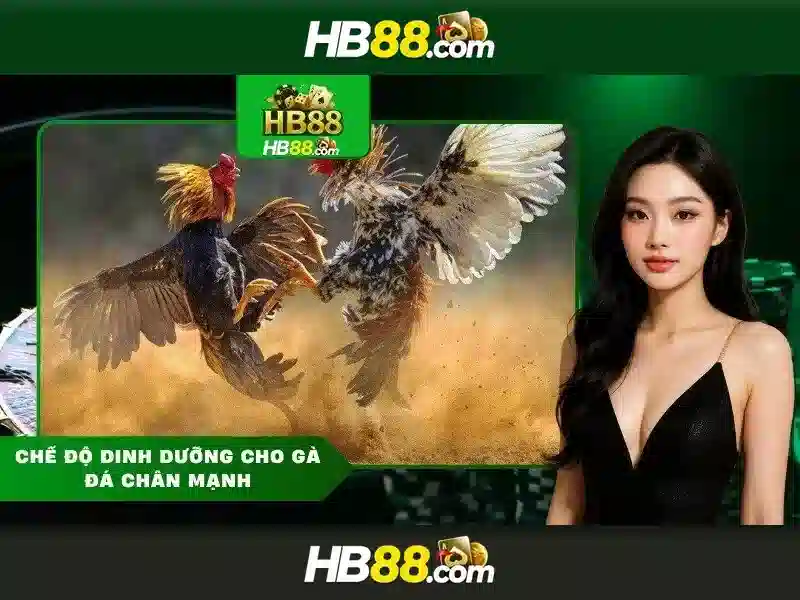 Hướng đi phát triển và tầm nhìn tương lai