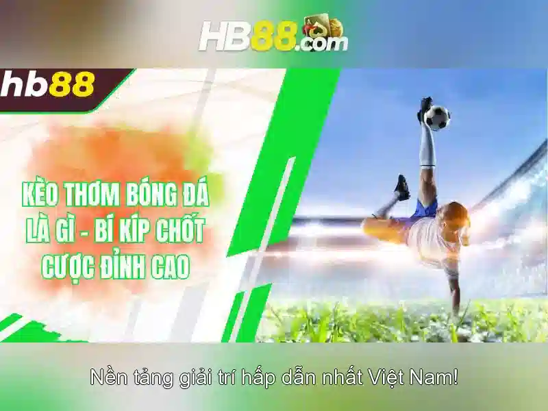 HB88: Nền tảng giải trí và chơi game trực tuyến