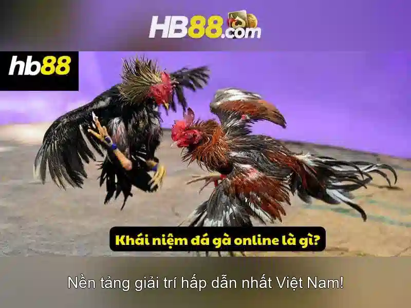HB88 – Nền tảng cá cược trực tuyến uy tín