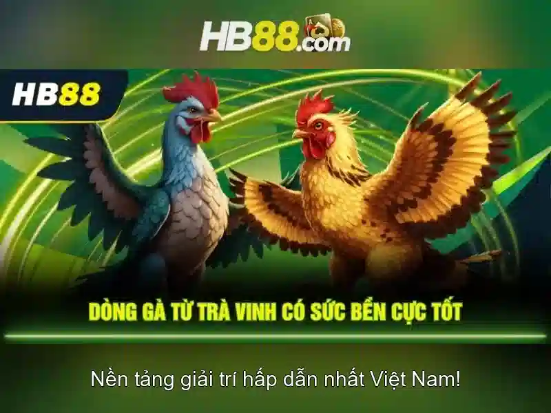 Nội dung dịch vụ và trò chơi
