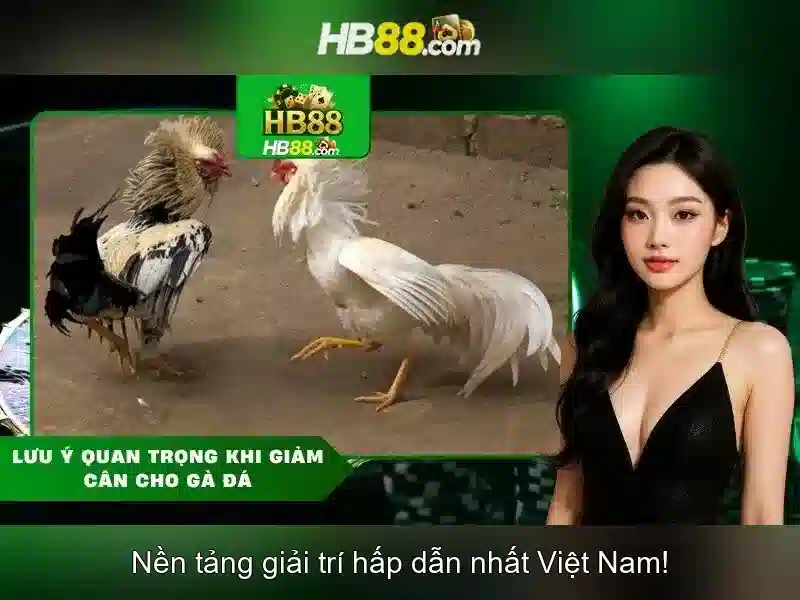 HB88 là gì và vì sao nền tảng này thu hút người chơi trực tuyến