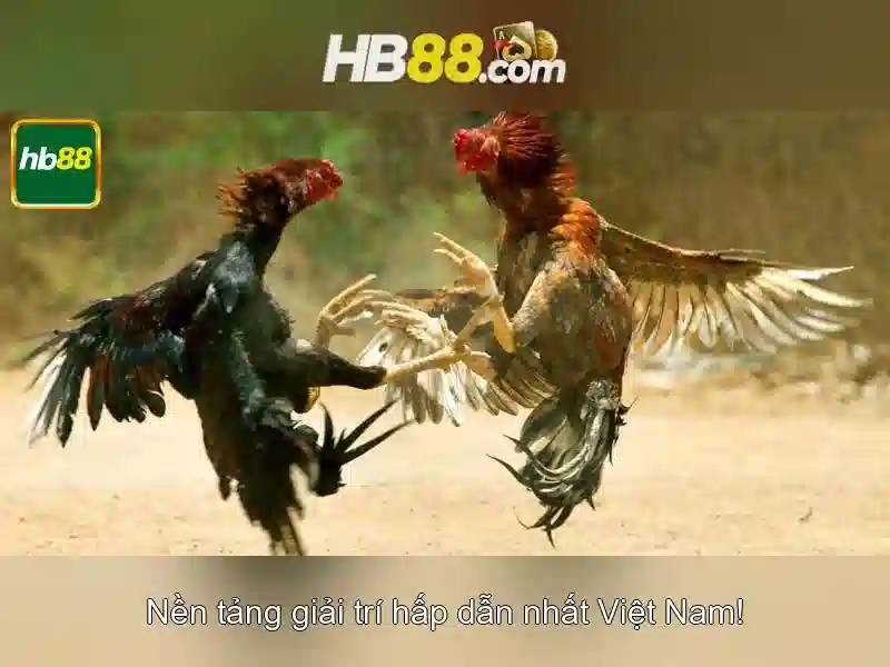 Hướng dẫn đăng ký và nhận khuyến mãi