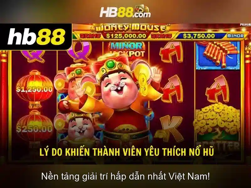 An toàn và cấp phép