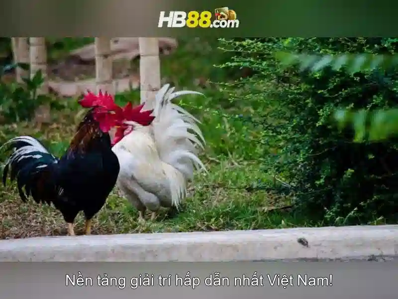 hb88 hb88kim com – Tổng quan về chủ đề và giá trị cốt lõi