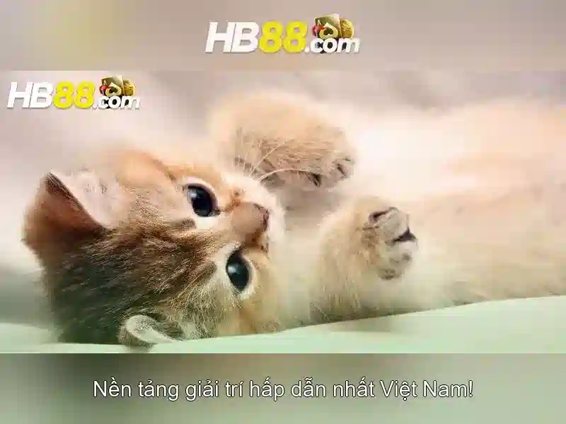 HB88: Đánh giá tổng quan cho người Việt