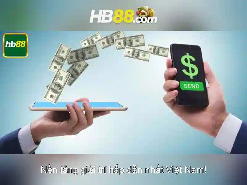 An toàn và cấp phép