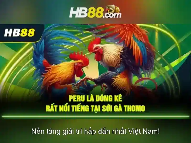 HB88: Nền tảng cá cược và trò chơi trực tuyến uy tín