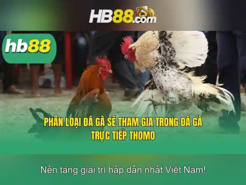 hb88 sam hồ chí minh – Trải nghiệm trực tuyến đỉnh cao