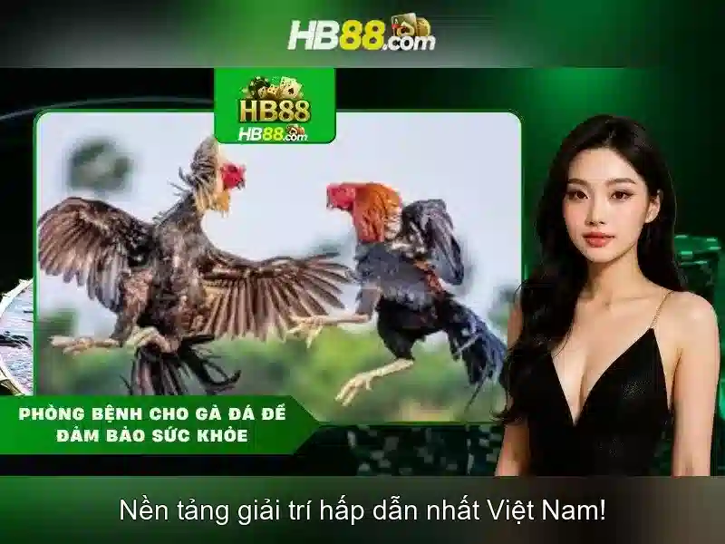 hb88: Tổng quan về nền tảng cá cược trực tuyến phổ biến
