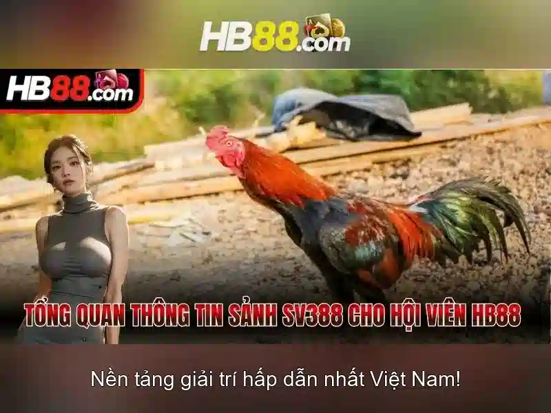 Hướng dẫn đăng ký và các mẹo chơi có trách nhiệm