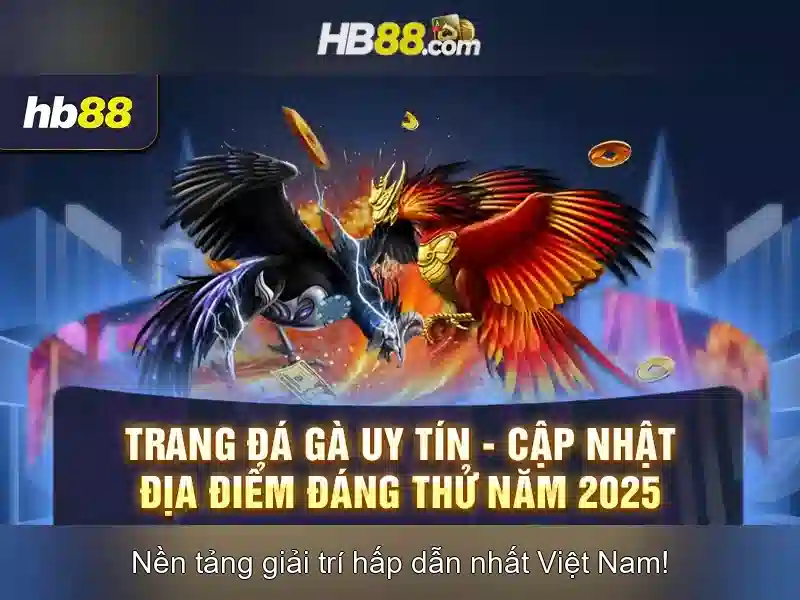 Hb88: Nền tảng giải trí và cá cược trực tuyến
