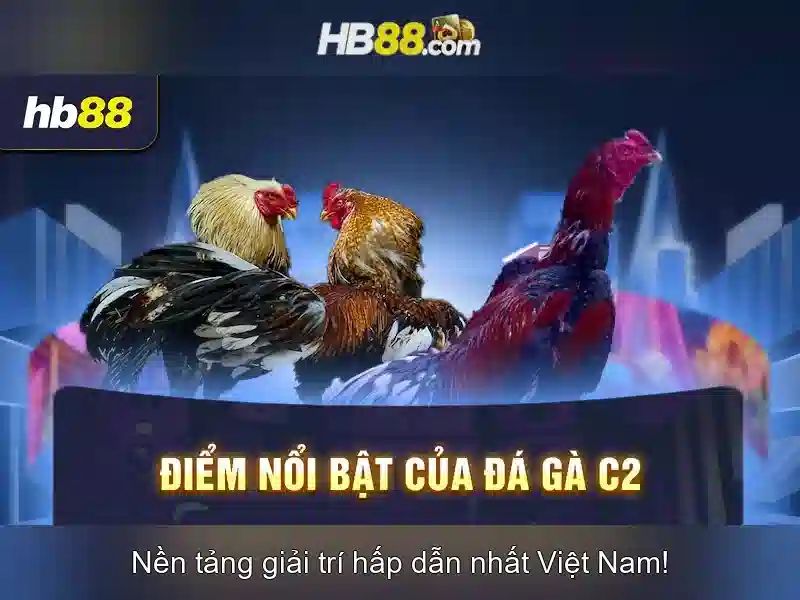 Các sản phẩm và dịch vụ