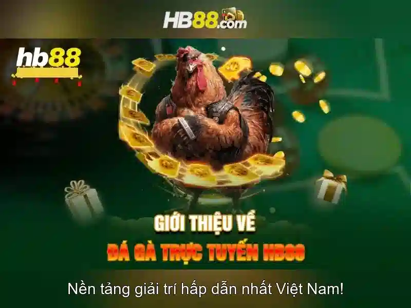 HB88: Nền tảng cược trực tuyến nổi bật và an toàn