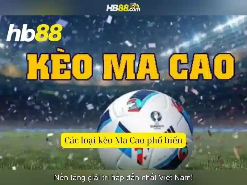 An toàn và pháp lý của HB88