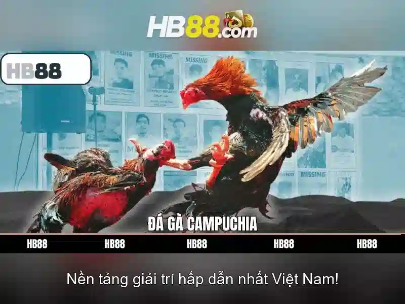 HB88 là gì và tại sao được biết đến trong ngành cá cược trực tuyến
