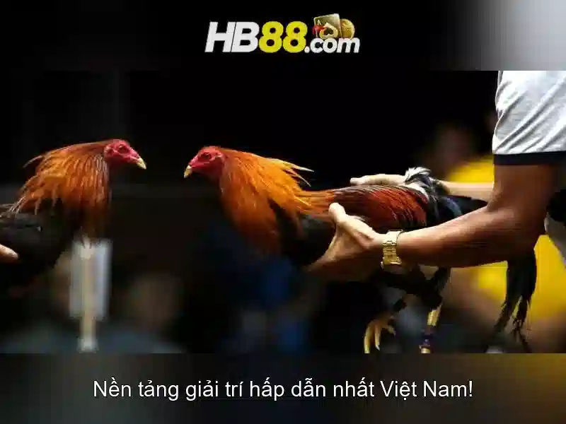 Hãy đổi những câu sau ra lời tường thuậtn1. He said to them, Dont use bent coins in a slot machinen-> He..............