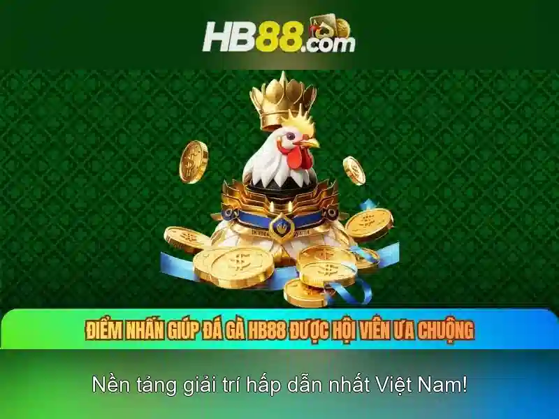 HB88 - Tổng quan về nền tảng đánh cược trực tuyến