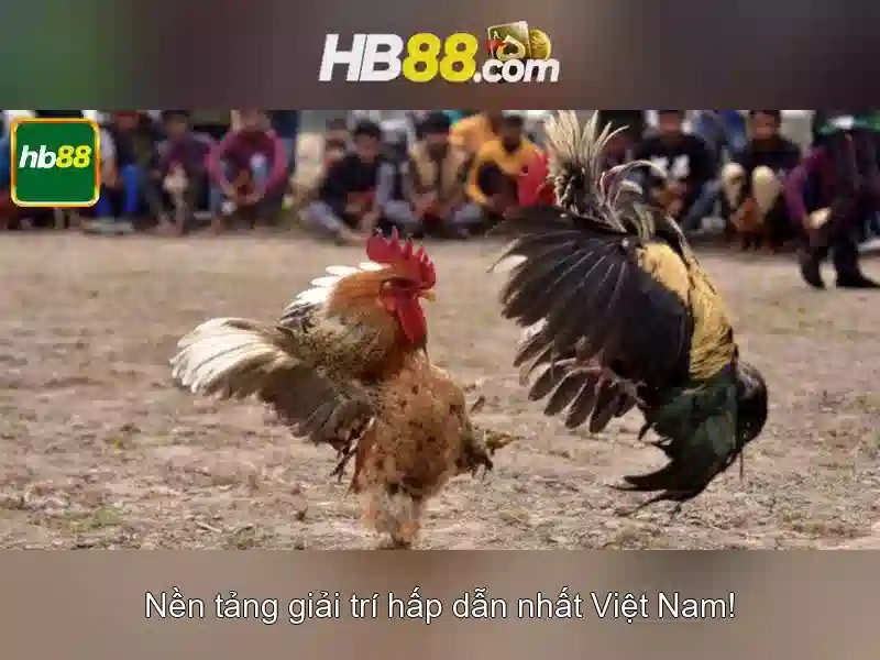 hb88 lừa đảo – tổng quan chủ đề