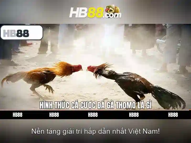 Hb88 - Nền tảng trò chơi trực tuyến phổ biến ở châu Á